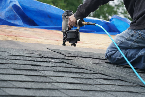 Steel Roofing in Raintree Plantation, MO